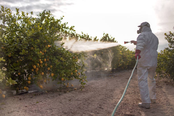 Best Pest Removal Services  in Azle, TX