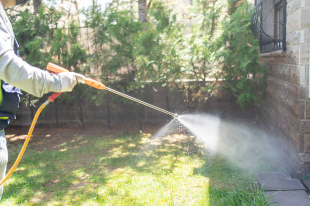 Wasp Removal Services in Azle, TX